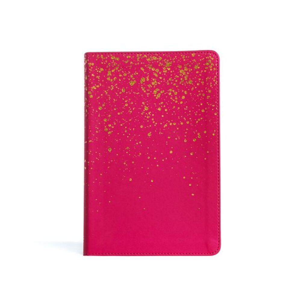 KJV Kids Bible, Pink Leathertouch -- Holman Bible Publishers